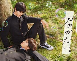 pk10下载app免费版